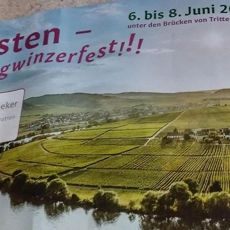 Ferienwohnung Bergblick Trittenheim Εξωτερικό φωτογραφία