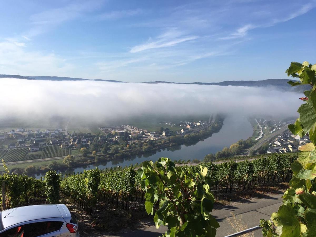 Ferienwohnung Bergblick Trittenheim Εξωτερικό φωτογραφία