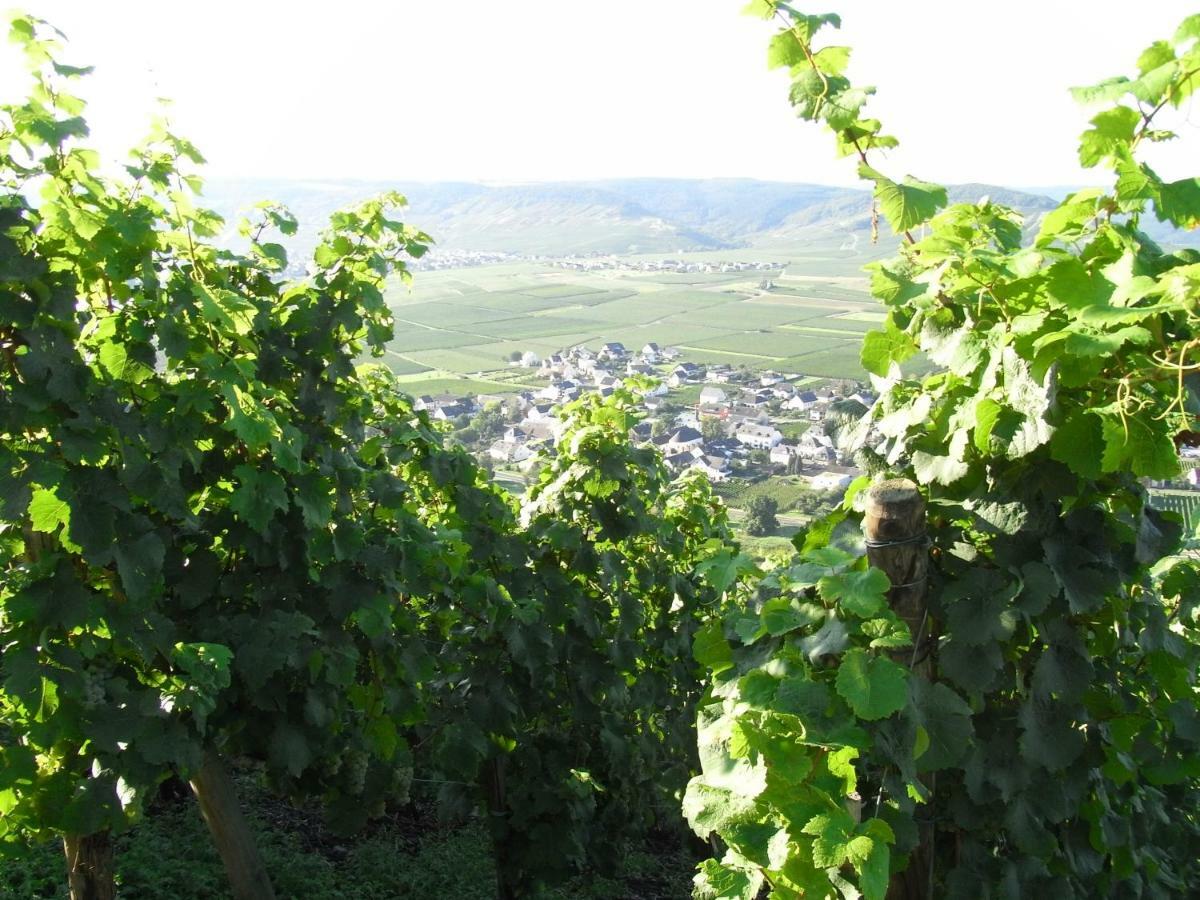 Ferienwohnung Bergblick Trittenheim Εξωτερικό φωτογραφία