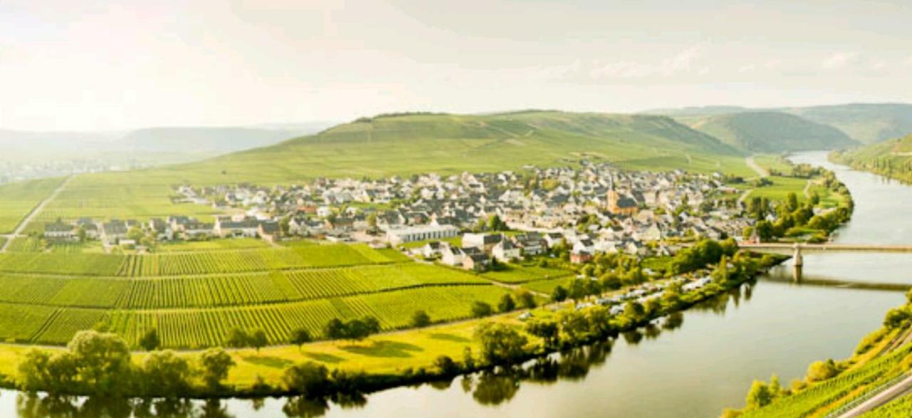 Ferienwohnung Bergblick Trittenheim Εξωτερικό φωτογραφία